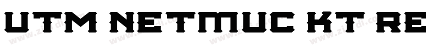 UTM Netmuc KT Regula字体转换